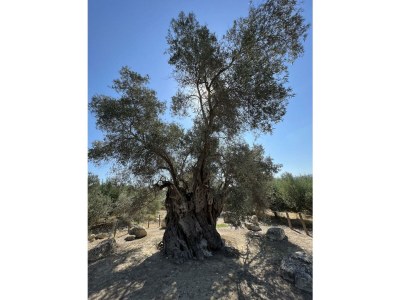 Holiday house Seli - Environment photo 56