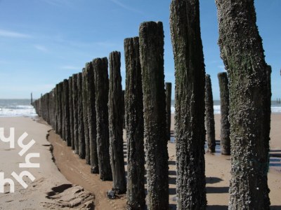 Holiday house Koudekerke-Dishoek ZE364 - Environment photo 23