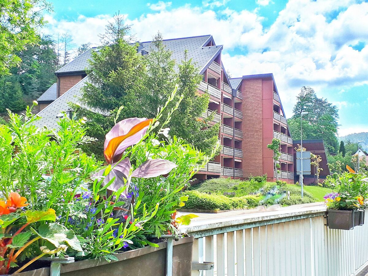 Apartment Ferienwohnung Schwarzwaldwölkchen - Outdoor photo 4