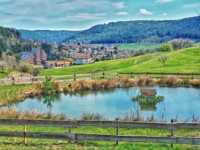 Apartment Ferienwohnung Schwarzwaldwölkchen - Outdoor photo 20