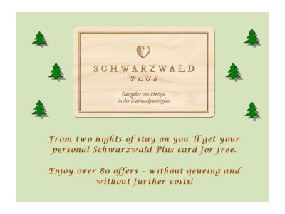 Apartment Ferienwohnung Schwarzwaldwölkchen - Outdoor photo 24