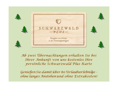 Apartment Ferienwohnung Schwarzwaldwölkchen - Outdoor photo 25