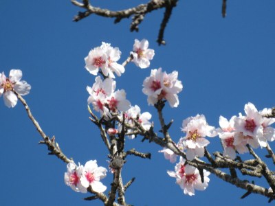 Villa Casa La Gaviota - Environment photo 19