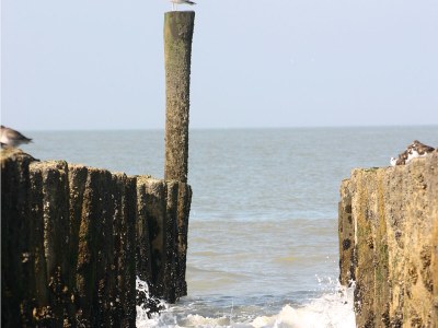 Apartment Lichthuys 203 - Environment photo 16