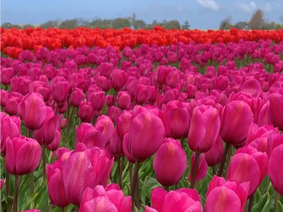 Apartment Lichthuys 203 - Environment photo 24