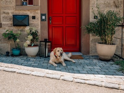 Holiday house Abendscheins Hof - Outdoor photo 6