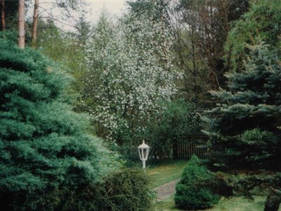 Holiday apartment Kochert - Outdoor photo 7