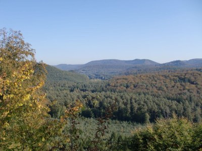 Holiday apartment Kochert - Environment photo 18