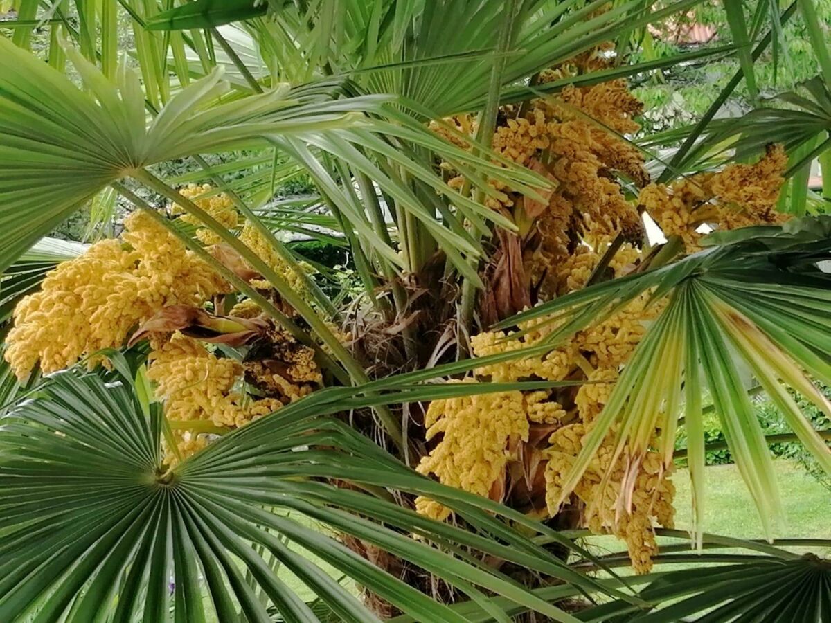 Apartment Dachgeschoss Ferienwohnung - Outdoor photo 5