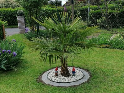 Apartment Dachgeschoss Ferienwohnung - Outdoor photo 10