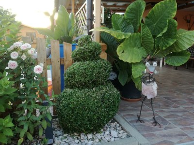 Apartment Dachgeschoss Ferienwohnung - Outdoor photo 11