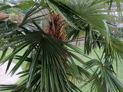 Apartment Dachgeschoss Ferienwohnung - Outdoor photo 12