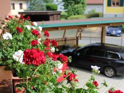 Apartment Dachgeschoss Ferienwohnung - Outdoor photo 14