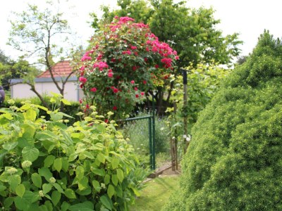 Apartment Dachgeschoss Ferienwohnung - Outdoor photo 25