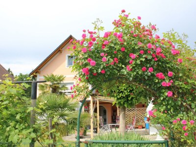 Apartment Dachgeschoss Ferienwohnung - Outdoor photo 26