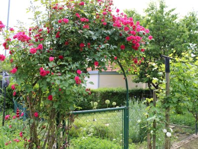 Apartment Dachgeschoss Ferienwohnung - Outdoor photo 27