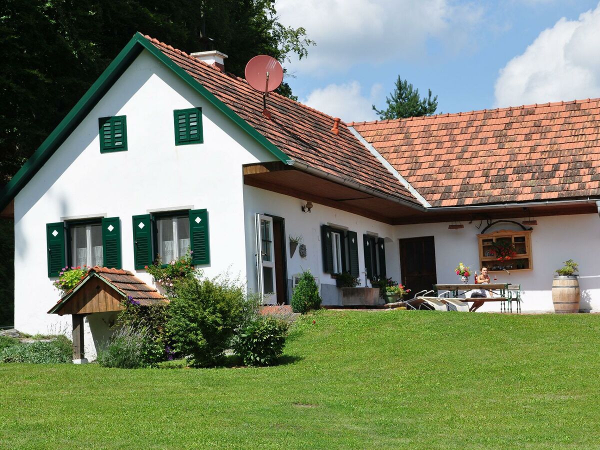 Apartment S'Kellerstöckl