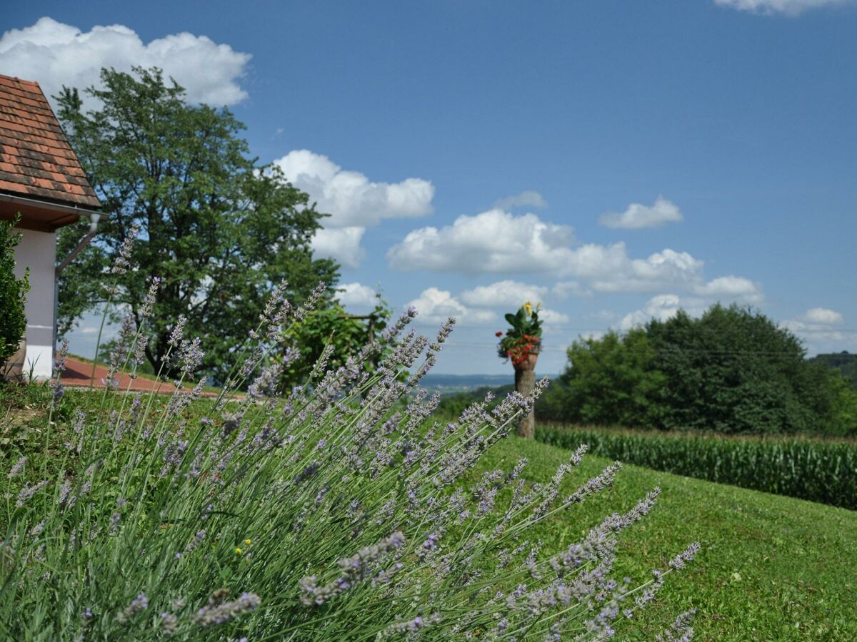 Apartment S'Kellerstöckl - Outdoor photo 4