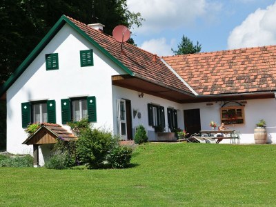 Apartment S'Kellerstöckl in Bad Loipersdorf - Apartment