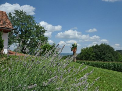 Apartment S'Kellerstöckl - Outdoor photo 4