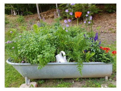 Apartment S'Kellerstöckl - Outdoor photo 10