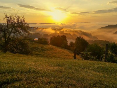 Apartment Ferienwohnung mit Terrasse - Outdoor photo 3