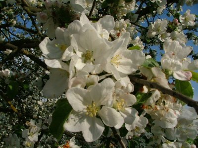 Apartment Ferienwohnung mit Terrasse - Outdoor photo 12