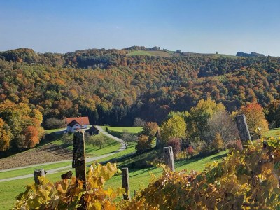 Apartment Ferienwohnung mit Terrasse - Outdoor photo 15