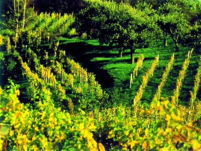 Holiday room Dreibettzimmer - Outdoor photo 29