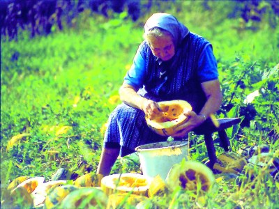 Holiday room Dreibettzimmer - Outdoor photo 30