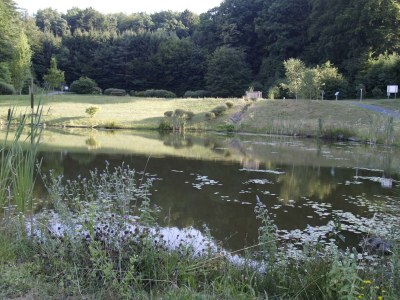 Holiday room Dreibettzimmer - Outdoor photo 32