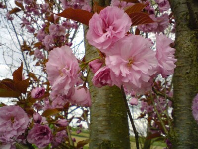 Holiday room Dreibettzimmer - Outdoor photo 40
