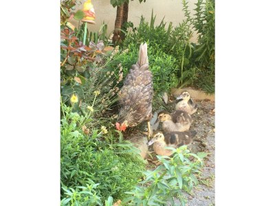 Holiday room Einzelzimmer - Outdoor photo 11