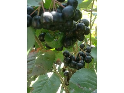 Holiday room Einzelzimmer - Outdoor photo 12