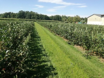 Holiday room Einzelzimmer - Outdoor photo 13