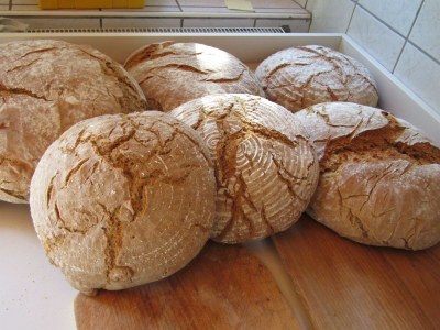 Holiday room Einzelzimmer - Outdoor photo 14