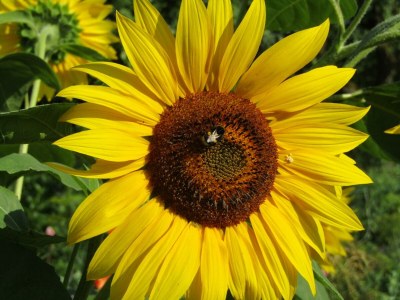 Holiday room Einzelzimmer - Outdoor photo 19