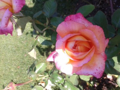 Holiday room Einzelzimmer - Outdoor photo 20