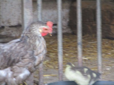 Holiday room Einzelzimmer - Outdoor photo 23