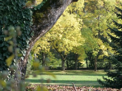 Apartment Appartment - Outdoor photo 8