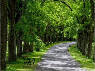 Apartment Appartment - Outdoor photo 12