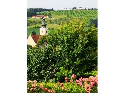 Apartment Suite mit Dusche, WC & Terrasse gartenseitig - Outdoor photo 12