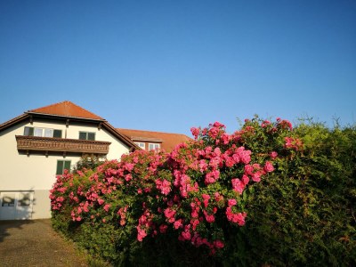 Apartment Suite mit Dusche, WC & Terrasse gartenseitig - Outdoor photo 15