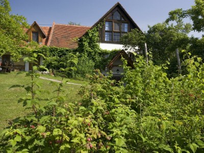 Apartment Heibodn - 2 Nächte - Outdoor photo 3