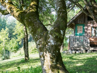 Apartment Heibodn - 2 Nächte - Features photo 60