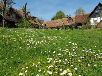 Apartment Heibodn - 2 Nächte - Features photo 68
