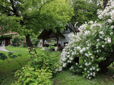 Apartment Heibodn - 2 Nächte - Features photo 70