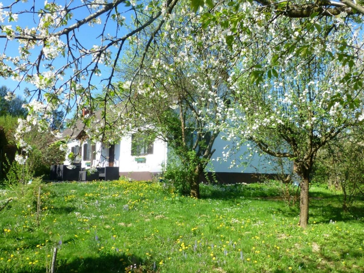 Apartment Ferienhaus zur Alleinnutzung | 3 Nächte