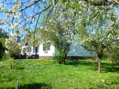 Apartment Ferienhaus zur Alleinnutzung | 3 Nächte in Leitersdorf im Raabtal - Apartment