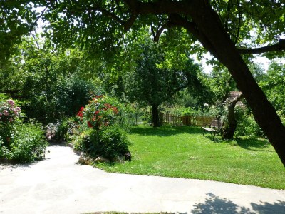 Apartment Presshaus - 2 Nächte - Features photo 48